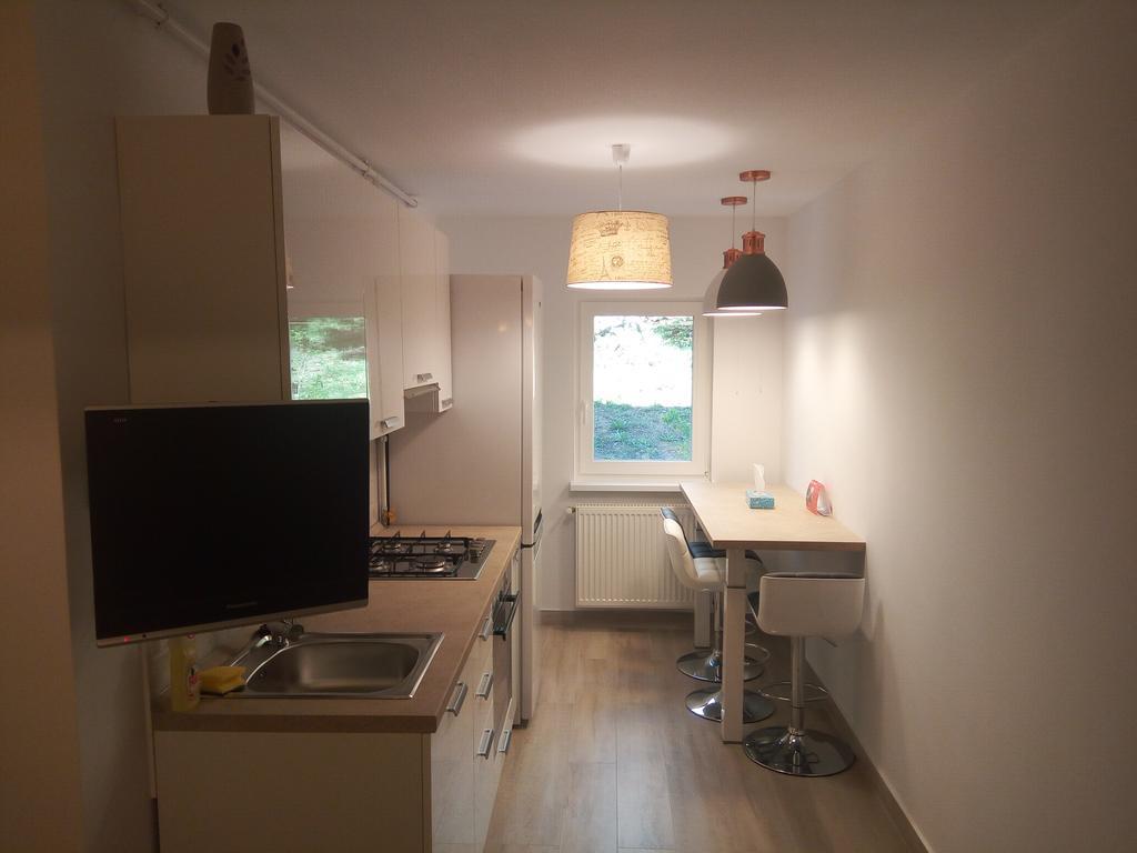 Lexy'S Apartment 布拉索夫 外观 照片